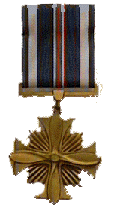 Navy Distinguished Flying Cross