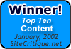 Site Critique Top Ten Content